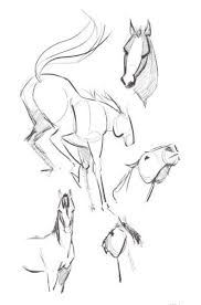 Pin By Clairio On Dibujos Animales In 2020 Animal Drawings Horse Drawings Animal Sketches