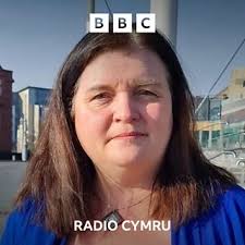 Sioned Williams: Pryder am lefelau staffio uned babanod Ysbyty Singleton