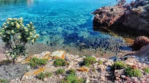 La piccola e meravigliosa isola di budelli nell'arcipelago della maddalena con la sua spiaggia e il suo unico abitante da oltre trent'anni: Weiss Nicht Ob Ich Zuruck Darf Nach 32 Jahren Soll Mauro Budelli Ende April Verlassen Sardinien Intim