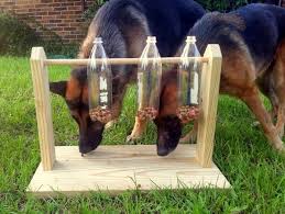 Homemade dog treat puzzle toys. How To Make Safe Dog Toys Using Your Old Stuff