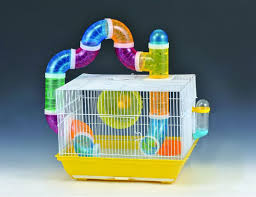 Check out our hamster cage selection for the very best in unique or custom, handmade pieces from our pet supplies shops. Hamster Cage With Color Box Size 37x28x26cm Qty Ctn 6 Pc Ctn Moq 500pcs Factory Manufacture Hamster Cage Small Animal Cage Color Box