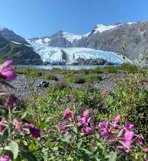 Set free alaska valley oaks. Can I Take A Train From Seattle Or Vancouver To Alaska Visit Anchorage