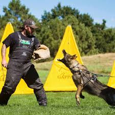 Sedona shepherd sanctuary mission statement. German Shepherd Rescue Of The Rockies Gsror Home Facebook