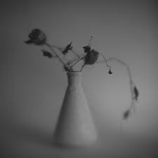 Drying flowers is a great way to preserve them for display in a vase or frame in your home. White Vase And Dry Flowers Photo Image Still Life Subjects Images At Photo Community