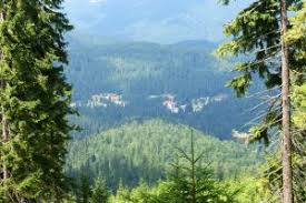 Principalii factori de tratament in statiunea stana de vale care atrag mii de turisti anual sunt apele oligominerale si feruginoase, bioclimatul tonic, caracterizat prin presiune. Stana De Vale Judetul Bihor Crisana Bazinul Carpatic Romania