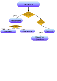 Mike S Curriculum And Instruction Blog Dichotomous Keys