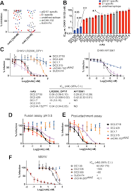 Human Monoclonal Antibodies Against Chikungunya Virus Target Multiple Distinct Epitopes In The E1 And E2 Glycoproteins