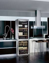 Pour les collectionneurs et buveurs de vin. Choisir Une Cave A Vin A Porte Pleine Ou Porte Vitree