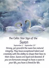 Pin By Asano On Birth Gems Celtic Zodiac Signs Celtic Zodiac Spirit Animal Meaning