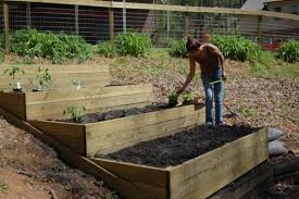 Hallo, wir haben im letzten jahr neu gebaut und sind nun bei der gartenanlage. Garten Am Hang Anlegen Und Schone Hangbeete Bepflanzen