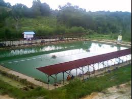 Galatama Balikpapan Home Facebook