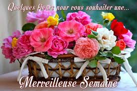 Résultat de recherche d'images pour "images livita bientôt noël"