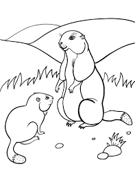 Search through more than 50000 coloring pages. Free Groundhog Coloring Page