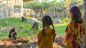 Jacksonville Zoo Tickets Prices Discount Animals To See Train Ride