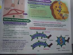 Sains tingkatan 2 (bab 4: Tingkatan 2 Bab 4 Brain Genius Mastery Mathematic Facebook