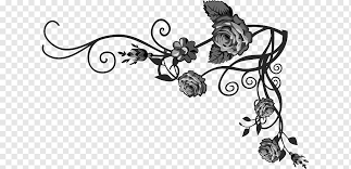 Jangan melihat kelopak bunga jatuh dari mawar dengan kesedihan. Flower Rose Flower Floral Branch Monochrome Png Pngwing