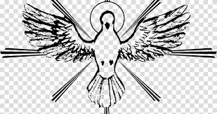 bird line art holy spirit catechism