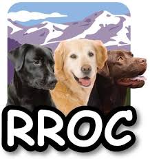 How to get a lab puppy, preparing your cute lab puppies' home, puppy care, and labrador puppy training. The Retriever Rescue Of Colorado Home Facebook