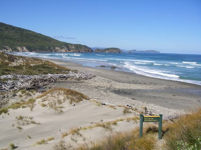 Image result for Mason Bay, Isla Stewart surf"