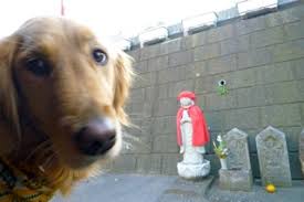 お地蔵様に吠える｜犬の総合情報サイト ペットスマイルニュースforワンちゃん
