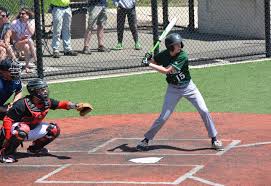 Indians claim D5-AA title over rival Cougars; Meyersdale advances