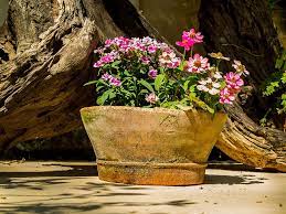 Hd Wallpaper Flower Bowl Flowers Rock Object Reflection Day Water No People Wallpaper Flare