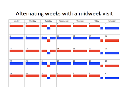 Samples Of Joint Custody Schedules