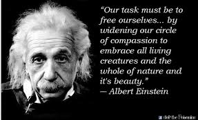 Our Task Must Be To Free Ourselves By Widening Our Circle Of Compassion To Embrace All Living Creatures And The Whole Of Nature And It S Beauty Albert E