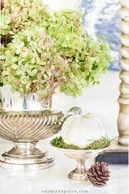Hydrangeas, roses, even house bound ferns love…love…the tannins in tea. Drying Limelight Hydrangeas For Arrangements Wreaths On Sutton Place
