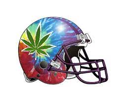 See more ideas about football helmets, football, helmet. Funny Football Helmet Logos