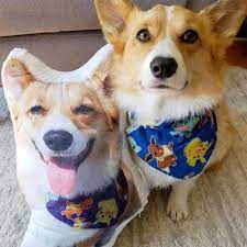 Great savings & free delivery / collection on many items. Custom Pet Pillow Personalised Pet Pillows Cool Gift For Dog Lover Custom Pet Photo Pillow Cat Pillow Dog Pillow Pet Gifts Myphotomugs