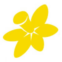 Which you may provide when accessing the website, such as your name, address, email. Cancer Council Australia Healthpages Wiki