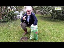 Pour avoir une nouvelle pelouse , il faut d'abord éliminer l'ancienne afin de préparer plus facilement le terrain. Comment Reparer Facilement Une Pelouse Abimee Youtube