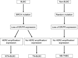 During and after treatment including information on caring for a loved one with triple negative breast cancer. Triple Negative Breast Cancer Is There A Treatment On The Horizon Abstract Europe Pmc