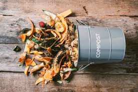 May 09, 2021 · this compost is the perfect fertilizer to add to houseplant, garden beds, potted plants, trees, and more. How To Start Composting With Children Kids Do Gardening