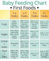 Baby Led Weaning Meal Ideas 8 Months Old Nutrition 3 Food