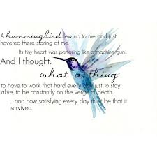Bird Song Florence And The Machine Lyrics Meaning Image Result For Butterfly And Beauty Quotes Meaningfulbeautyresults Hummingbird Quotes Hummingbird Hummingbird Symbolism