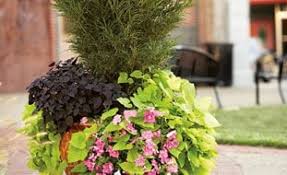 These rusty planters reflect that idea. Container Gardening Garden Design
