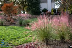 Elegant Ornamental Grasses To Grow In Any Garden Evergreen Landscape Landscaping Inspiration Landscape Design