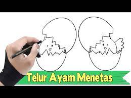 Dibawah ini merupakan sebagian mewarnai. 21 Mewarnai Gambar Telur Ayam Menetas Terbaru Lingkar Png