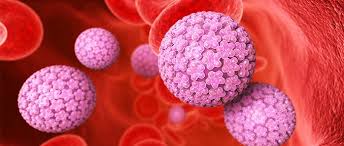 Pin On Epigenetics And Health