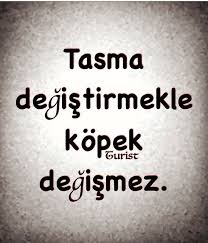 Kopek Ayni Kopek Ama Kopek Kadar Degeri Yok Metin Mesajlari Ozlu Sozler Guzel Soz