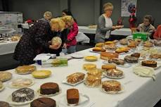 Llandyfaelog Show