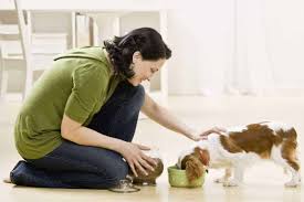 The exact amount of food that you feed your puppy will depend on the caloric content of the food that you choose. How Often Should Puppies Eat At 8 Weeks Old Puppyfaqs