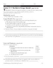 Chromosomes form + nucleus dissolves. Bio Workbook Pages That Follow Ch 11 Pgs 271 281 Name Class Date Chapter 11 Introduction To Genetics Section 1 1 U20141 The Work Of Gregor Course Hero