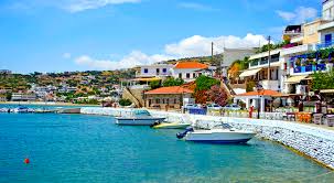 Image result for Androstachys