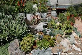 Check spelling or type a new query. How Often Should You Water Succulents