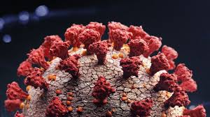 Последние твиты от bbc news (uk) (@bbcnews). New Variant Of Coronavirus Identified In England Bbc News