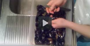 Questi molluschi bivalve vivono trattenendo all'interno l'acqua di mare, è quindi importantissimo valutare alcuni aspetti al momento dell'acquisto Come Pulire Le Cozze In Pochi Minuti Video