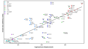 Is There Any Correlation Between The Cpu And Cpu Candidates